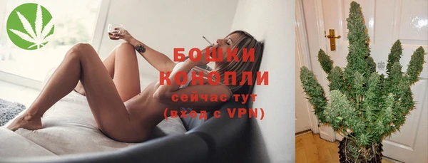 МДПВ Богданович
