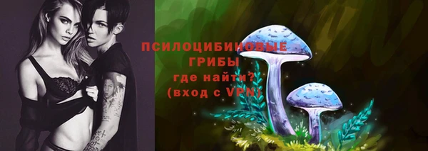 МДПВ Богданович