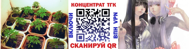 ТГК гашишное масло  Купить закладки  Лысьва 